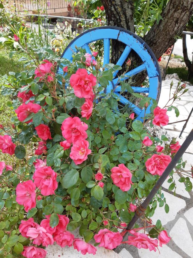 Il Girasole Bed & Breakfast Castelvecchio Calvisio Luaran gambar