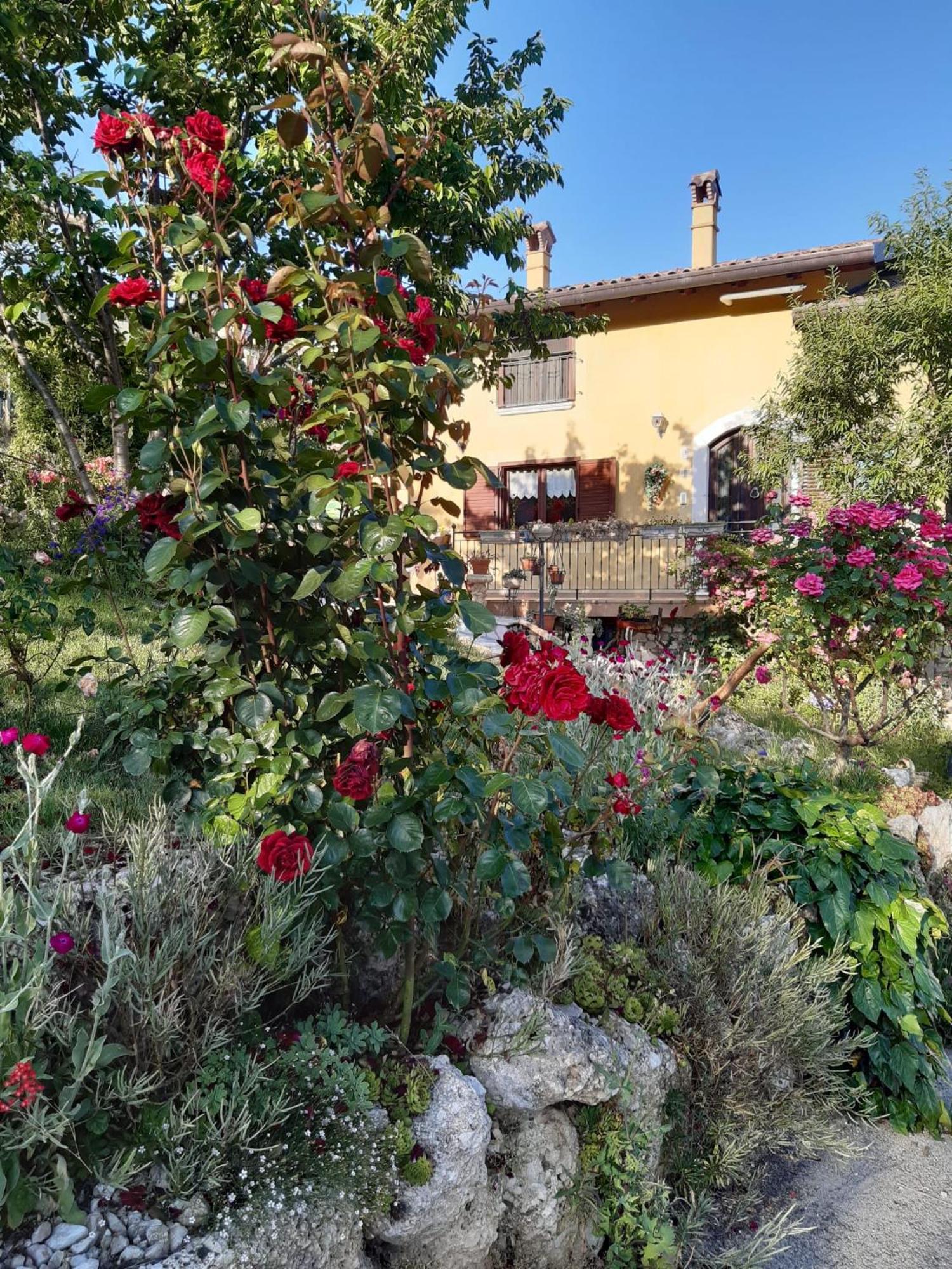 Il Girasole Bed & Breakfast Castelvecchio Calvisio Luaran gambar